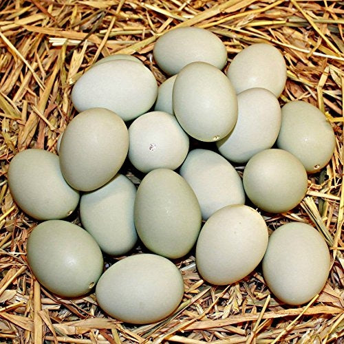 30 Fake Chicken Eggs On Tray Realistic Egg Toy Food Playset For Kids- Pretend Play Artificial Kitchen Foods - Light Green Faux Eggs Kitchen Decor